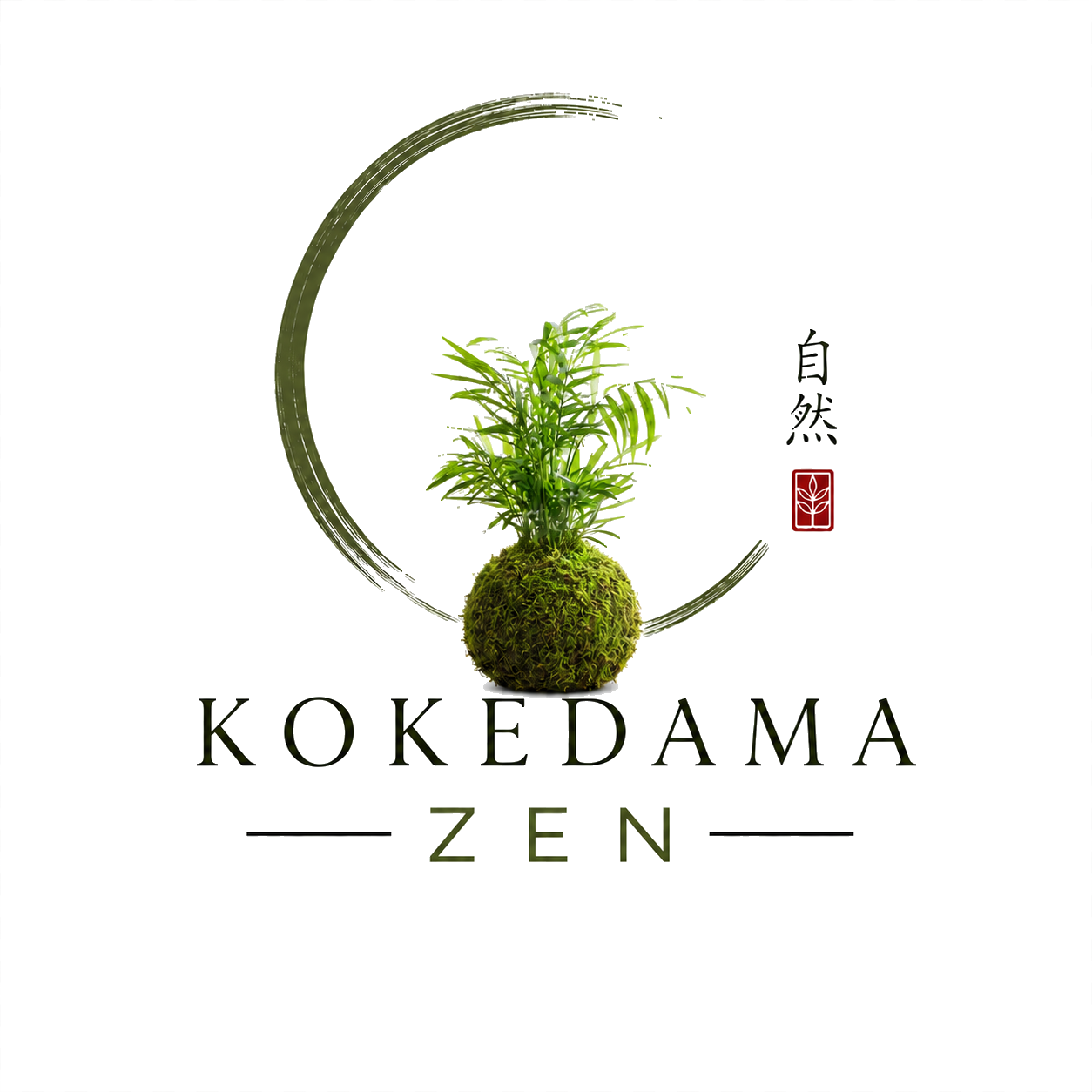 Kokedama Zen
