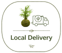 local_delivery_tp