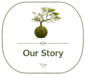 our_story_tp