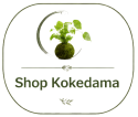 shop_kokedama_tp